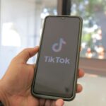 😎 Les vidéos de chats qui dominent TikTok