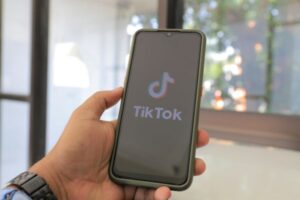 Les vidéos de chats qui dominent TikTok