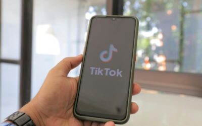 Les vidéos de chats qui dominent TikTok