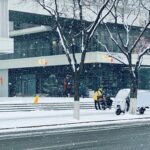 2 cm de neige et le pays à l’arrêt : chronique d’un grand classique